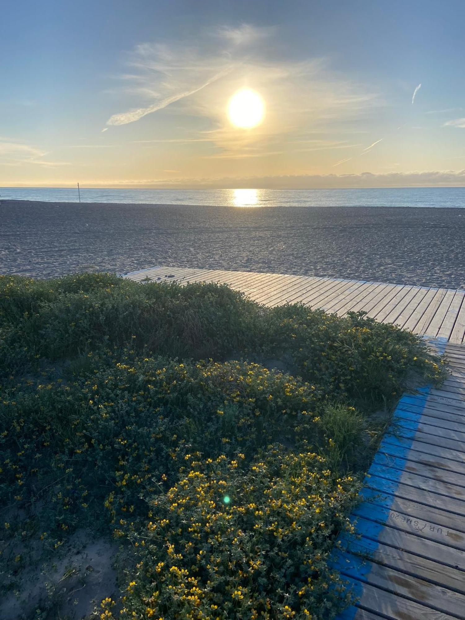 Primera Linea De Playa, Villa Conchita, Con Salida Al Mar 萨贡托 外观 照片